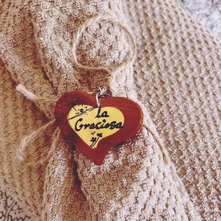 Casa Olga アパート *